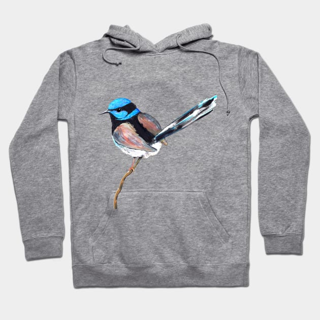 Superb fairy wren Hoodie by Bwiselizzy